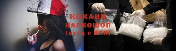 тгк Володарск