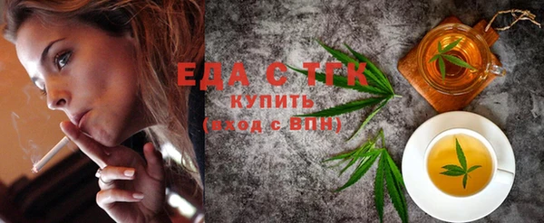 индика Вяземский